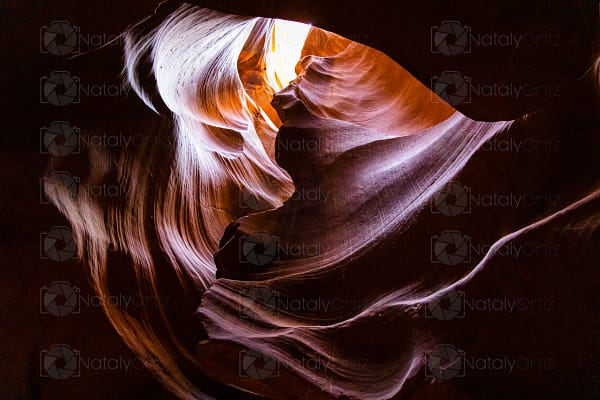 Heart Of The Desert